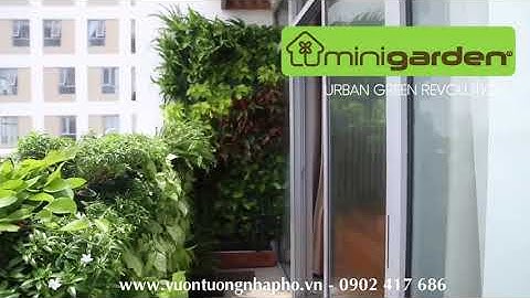 Vườn Treo Đứng Cây Ban Công căn hộ Opal Riverside HCM nhập khẩu Bồ Đào Nha có tưới tự động