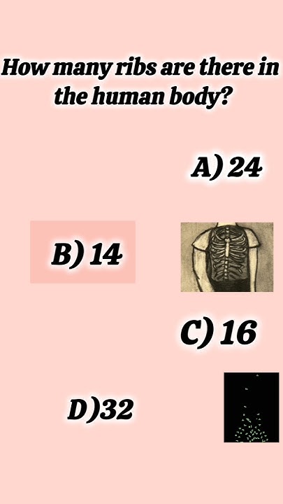 how-many-ribs-in-human-body-gkquiz-sciencecompetition-gkshorts