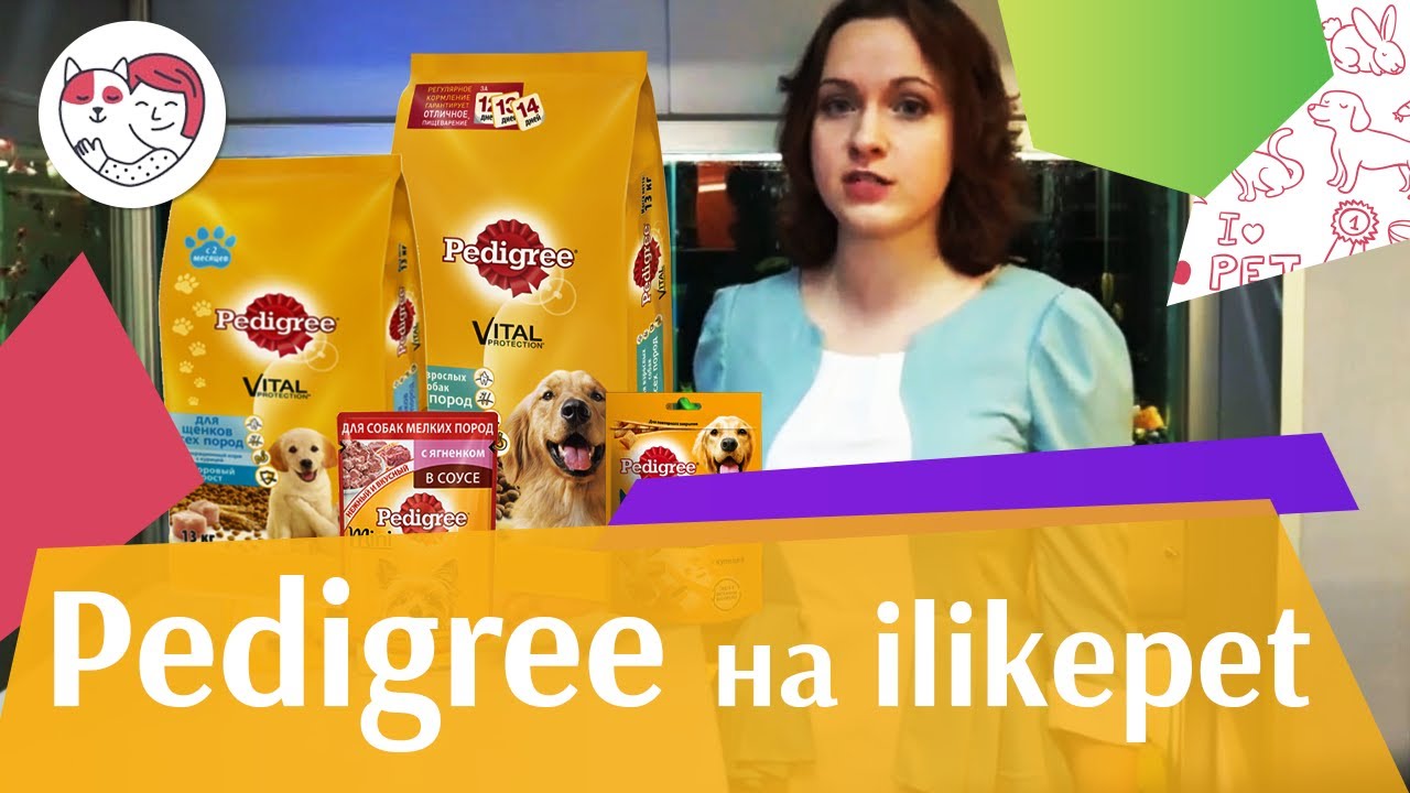 Pedigree на ilikepet