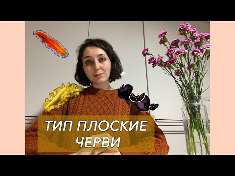 Урок "Тип Плоские черви" - ЦТ, ЕГЭ, ЗНО