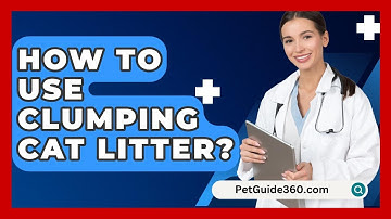 How To Use Clumping Cat Litter? - PetGuide360.com