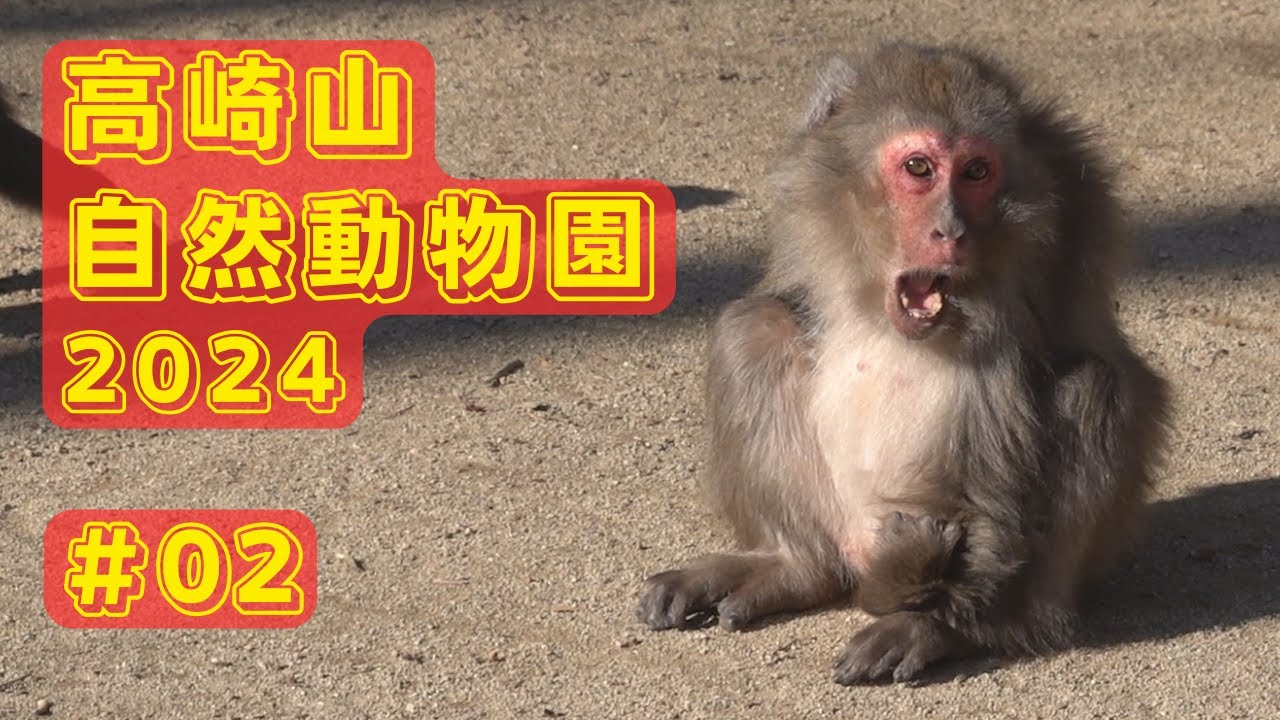 02] Takasakiyama Natural Zoo 2024 New Year's Group B - YouTube