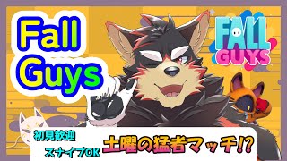 【FallGuys/フォールガイズ#190】土曜の夜にいろんなショーを楽しもう！【ジュージュー】#fallguys #フォールガイズ #shorts