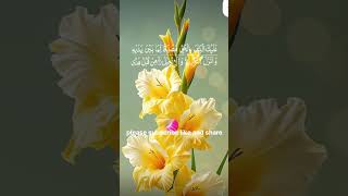 #Beautiful surah Al Imran