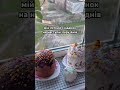 0 калорій #паска #україна #великдень #життєво #пасха