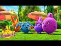 Cartoons for children  sunny bunnies speedy boots  funny cartoons for children