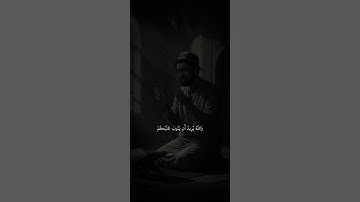 محمد اللحيدان | سورة النساء آية ٢٧-٢٨
