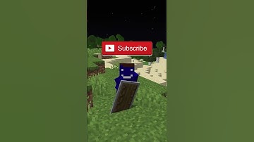 Minecraft Skeleton Breaks a Bow?