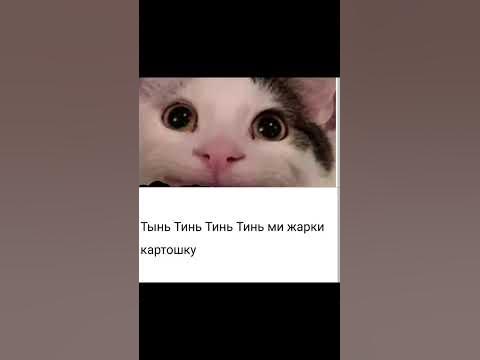 Тинь Тинь 🥔 - YouTube