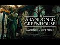 The abandoned greenhouse  asmr ambience  soft music  rustling leaveswind howling relaxing sounds