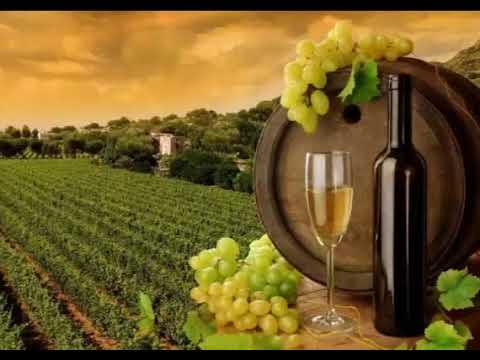 საქეიფო - სულის ეროტიკა