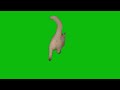 猫ミーム Catmeme GB素材 Greenscreen 猫ミーム 猫meme 猫マニ Catmemes