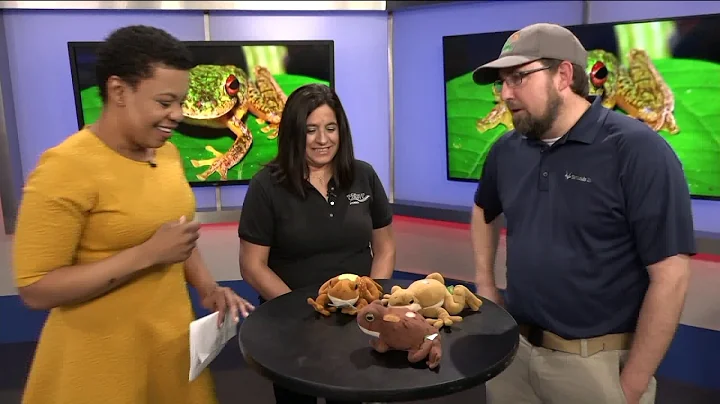 Fox 2 9AM Frogwatch USA