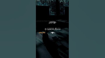 قرآن كريم | حالات واتس | سورة النمل #asmr #اكسبلور #المصحف #foryou #like
