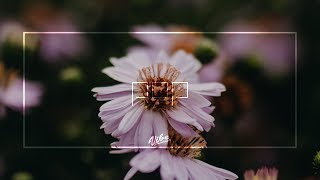 Download Lagu Alessia Cara October MP3 Alessia Cara October