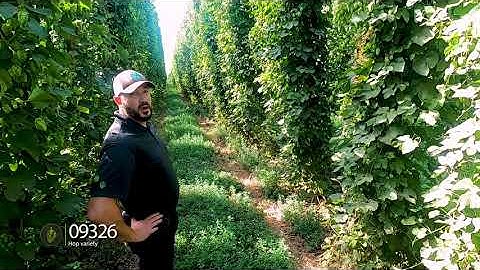 5-Acre Plot Hop Tour