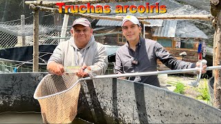 Granja acuícola de TRUCHAS especie arcoiris |  Producción de Alevines para engorda ¿Rentable?