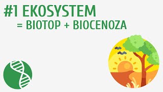 Ekosystem = biotop + biocenoza #1 [ Ekologia ]