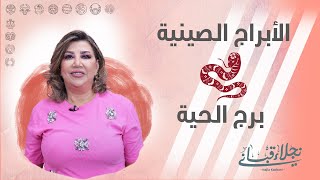 صفات برج الحية الصيني مع نجلاء قباني