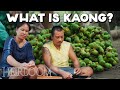 How kaong is harvested and made from scratch sugar palm candy