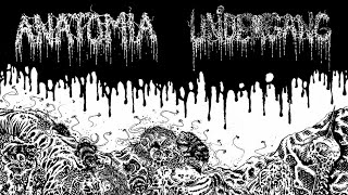 Anatomia & Undergang - Split LP (2022)