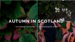 Природа Шотландии Осенью: Неспешная прогулка, Заброшенная духовная семинария и Согревающий ужин