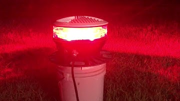 H&P Horizon LED Tower Beacon Night Time Fun