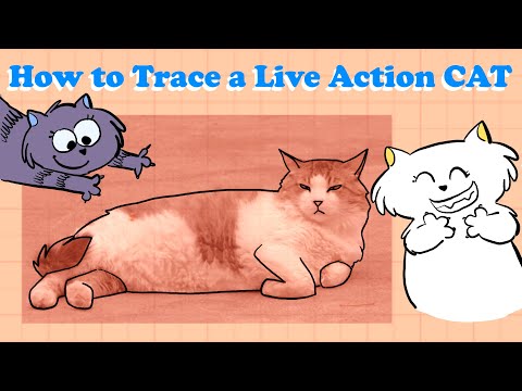 How to TRACE a Live Action CAT