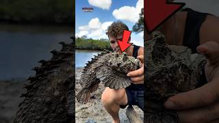 3 Most Dangerous Fish in the Ocean! 🐟💀 #Shorts