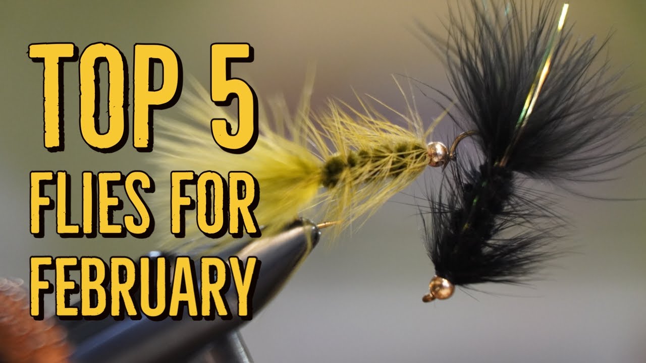 Top 5 Flies For February 