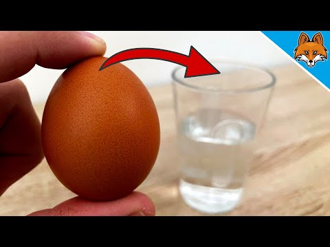 Video: Eier En Eierprodukte