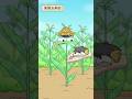 ভুট্টা গাছের মুসকিল ভাব #shorts