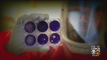 CMU Professor Says Social Distancing Is Working, But Challenges Lie Ahead