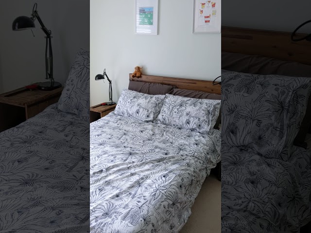 Video 1: spacious and bright room