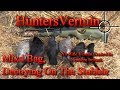 Air Rifle Hunting, Mixed Bag, Decoying On The Stubble