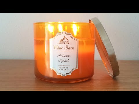 autumn apricot bath body works fall 2017 test candle review bath and body works apricot