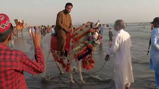 Karachi Sea View Beach Clifton Beach Karachi #CliftonBeach #SeaViewBeach  کلفٹن بیچ کراچی