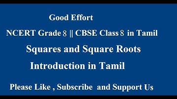 NCERT Grade 8 || CBSE Class 8 - Squares and Square Roots Introduction in Tamil