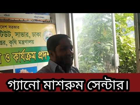 ভিডিও: মাশরুমগুলির সাথে সর্বাধিক সুস্বাদু হজপডজ