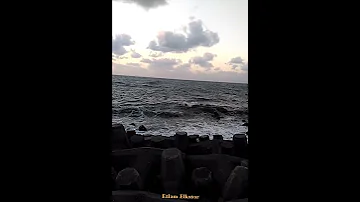 عرفنا مين معانا ومين علينا 