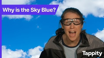 Why is the Sky Blue? | Weather for Kids | Ask Tappity: Science Questions & Answers