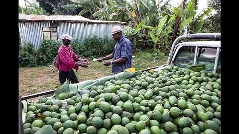 Mavuno 2021 IBM Call for Code