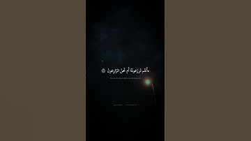 أَفَرَأَيتُم ما تَحرُثونَ | محمد صديق المنشاوي | سورة الواقعة
