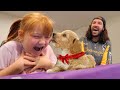 Adley gets a ROBLOX DOG!!  Dance Off with Dad! Playing family and a new pet for my roblox birthday!