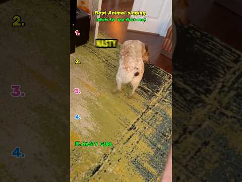 Singing animals #tiktok #catfish #gaslighting