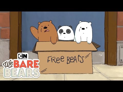 वीडियो: ध्रुवीय भालू भूरे भालू का छोटा भाई है