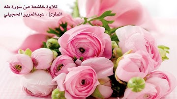 تلاوة خاشعة للقارئ عبدالعزيز الحجيلي