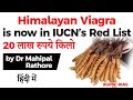 Himalayan Viagra is now under IUCN’s red list, Why is world’s costliest fungus vulnerable?#UPSC #IAS