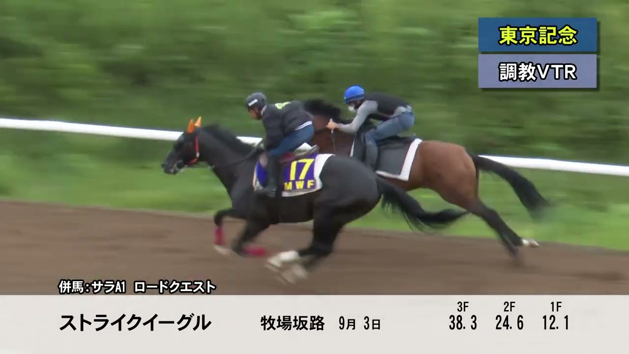 D2ijceo6n64pfm D2ijceo6n64pfm