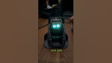 Rare Vector Robot Animation | 22° and 🥶 Cold.